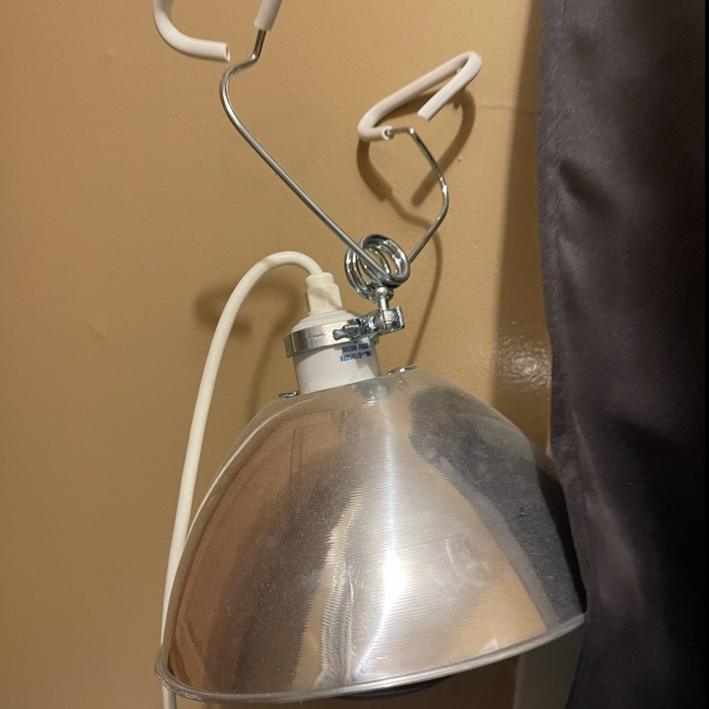 Heat lamp & Bulb